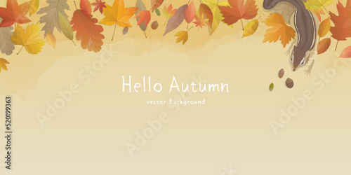 Autumn leaves background with chipmunk. Vector illustration.