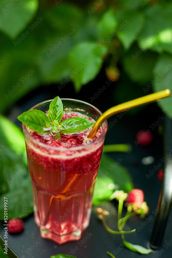 Raspberry, basil detox water, lemonade, Summer cold drink on a black background, outdoor garden fresh bush, sunlight, Vegan, diet, organic natural Raspberry, basil detox water, lemonade, Summer cold drink on a black background, outdoor garden fresh bush, sunlight, Vegan, diet, organic natural