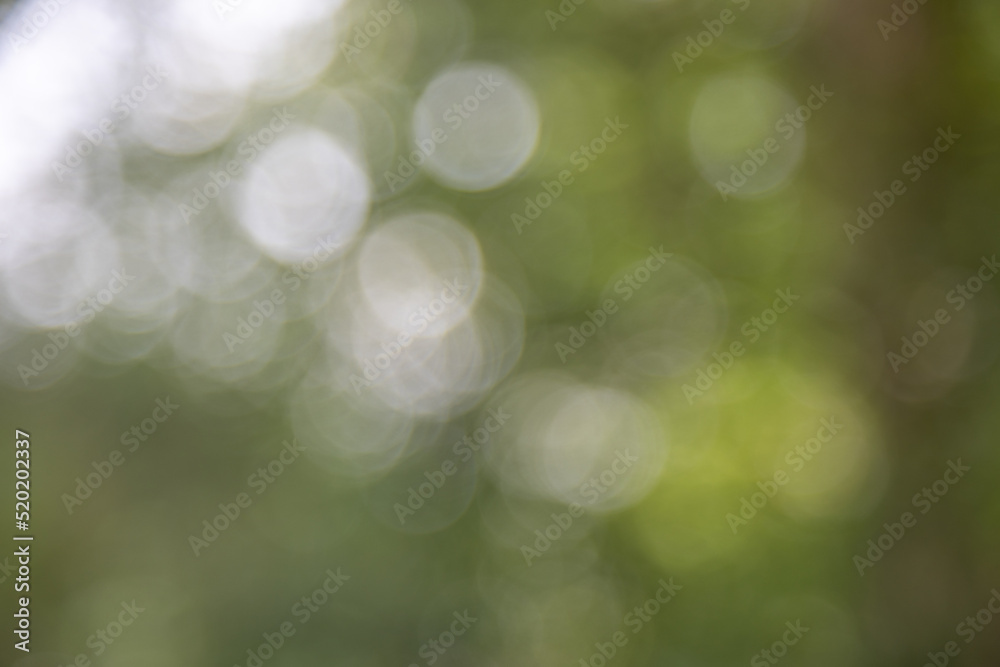Obraz premium lensflares, blurred bokeh lights in white on green for webdesign, backgrounds, compositions and overlays