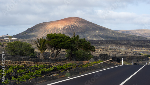 Amazing nature of Lanzarote, land of volcanoes and wine, Canary Islands, Spain