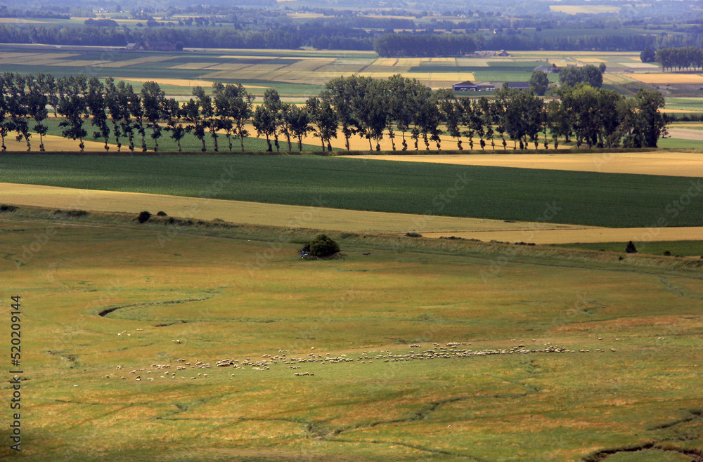 Obraz premium coucher de soleil à la campagne