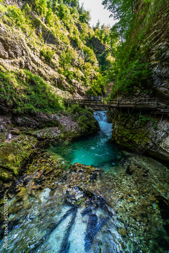 Beautiful view of the turquoise transparent stream water in Vintgar Gorge near Lake Bled in summer  Upper Carniola  Slovenia