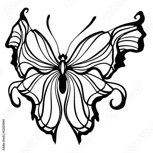 Graphic black and white linear drawing of a butterfly. Isolated illustration in the form of a silhouette of a flying moth. To cut and create a mask.