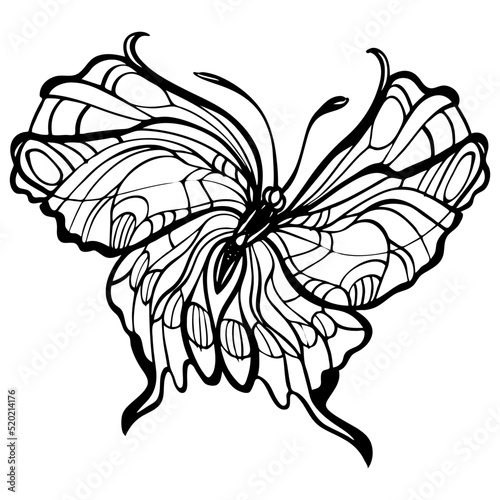 Graphic black and white linear drawing of a butterfly. Isolated illustration in the form of a silhouette of a flying moth. To cut and create a mask. © Irina