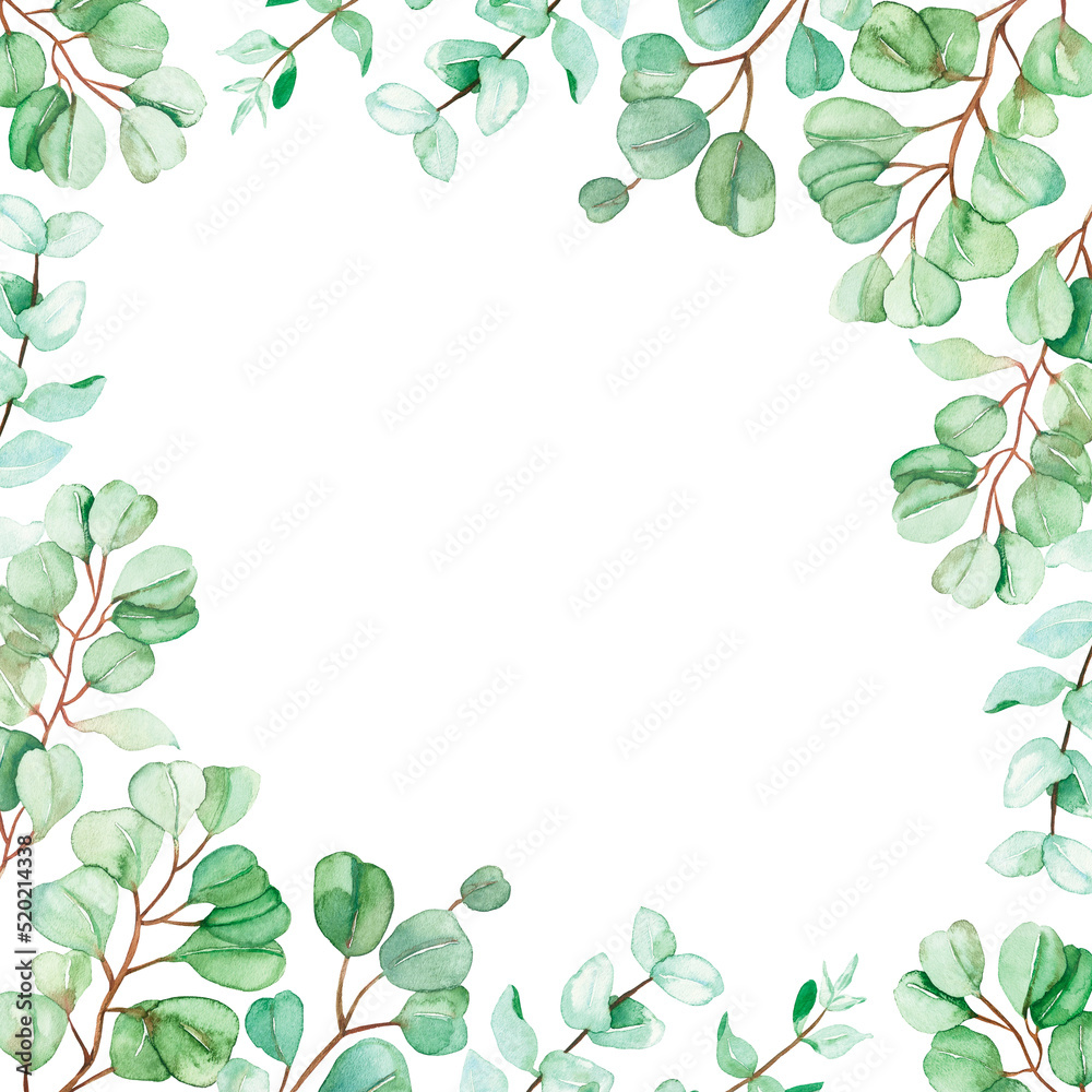 Watercolor hand painted nature squared frame with green eucalyptus leaves on branches border composition on the white background for invite and greeting card with space for text