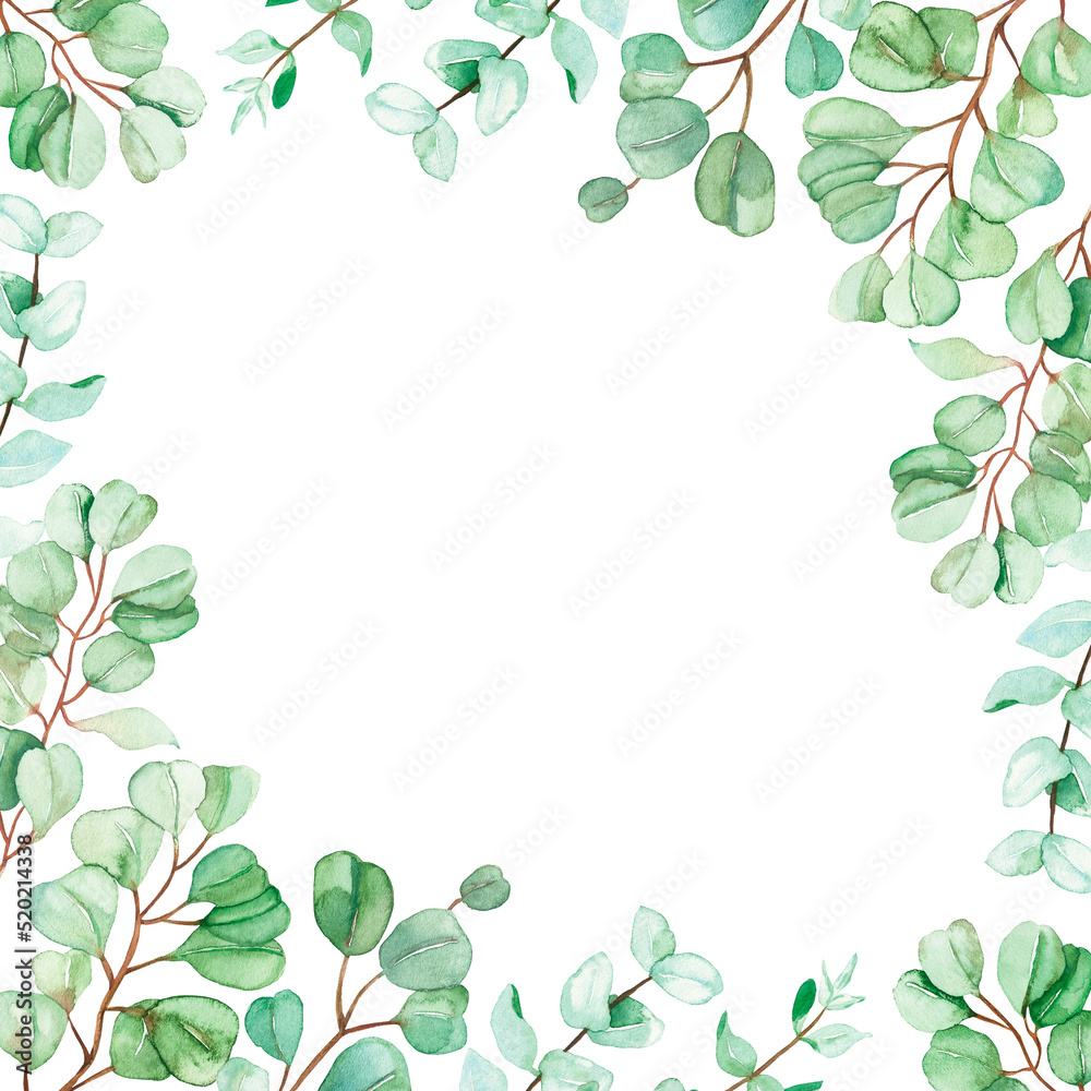 Watercolor hand painted nature squared frame with green eucalyptus leaves on branches border composition on the white background for invite and greeting card with space for text Watercolor hand painted nature squared frame with green eucalyptus leaves on branches border composition on the white background for invite and greeting card with space for text