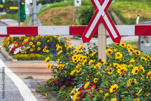 Beautiful flowers at a railroad crossing