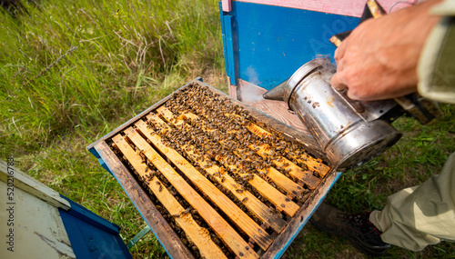 Agricultural beekeeping farm. Wooden honeycombs apairy. photo