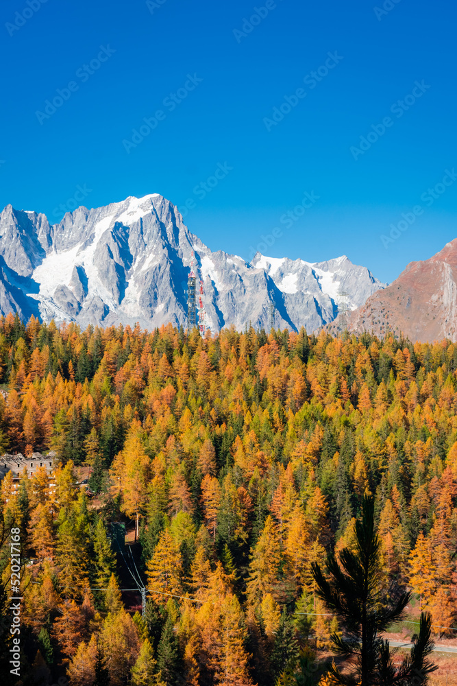 Beautiful autumnal landscape with the wood and the Monte Rosa (Pink Mount) in Aosta Valley Italy