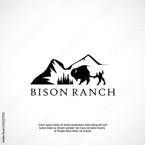 bison park logo design idea