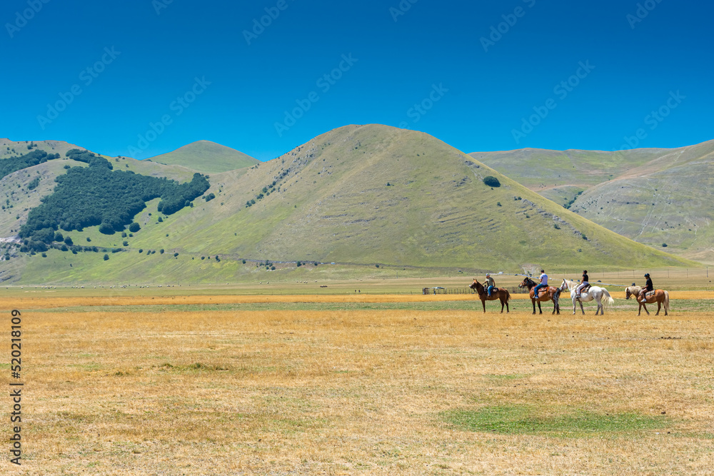 Obraz premium CASTELLUCCIO DI NORCIA, ITALY, 26 AUGUST 2021 Horses in the valley of Umbria
