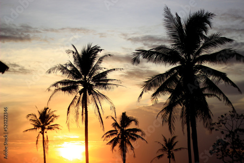 Coconut trees with a nice sunset background. © Bayu
