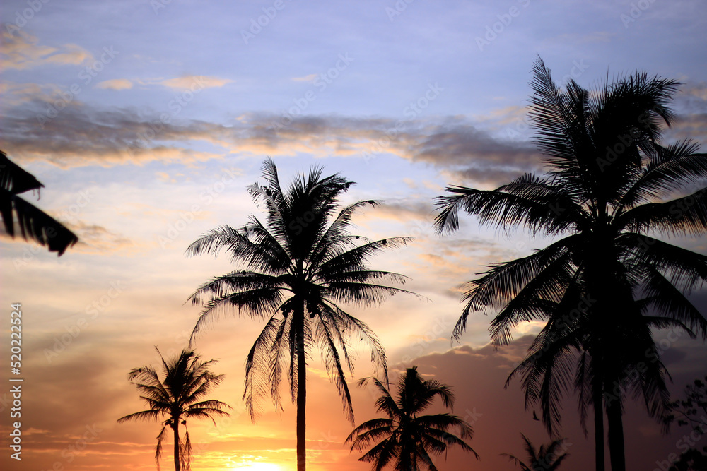 Coconut trees with a nice sunset background.