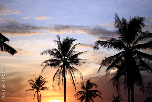 Coconut trees with a nice sunset background.