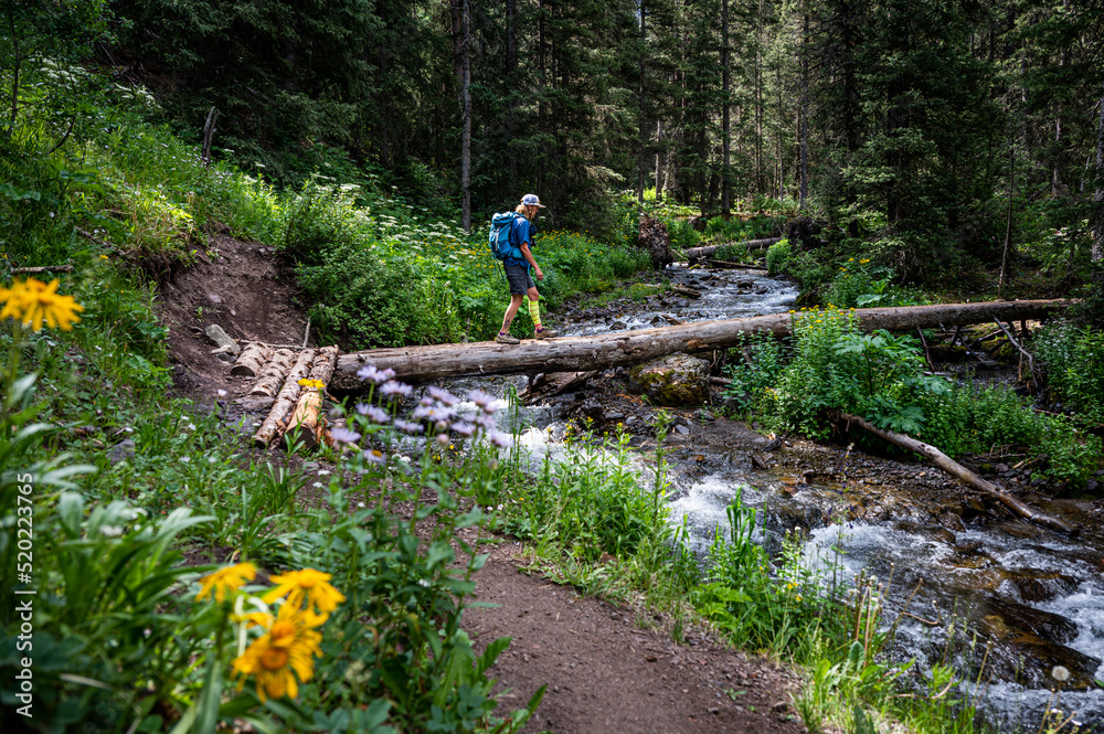 hiker crossing a stream on a log hiker crossing a stream on a log