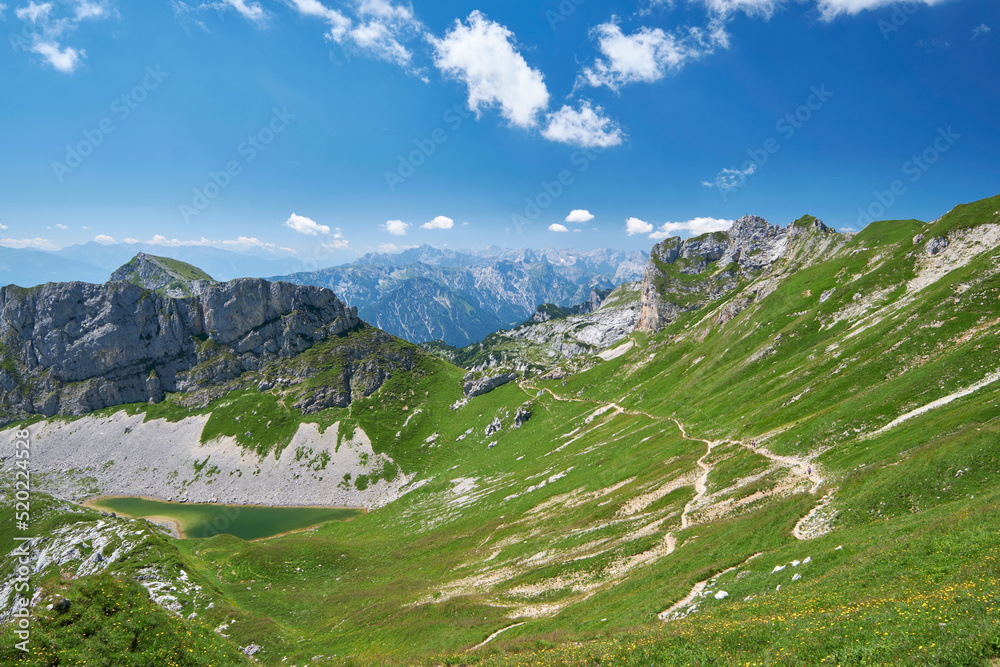 Alpine meadow in the mountains around lake Achensee, Tirol, Austria