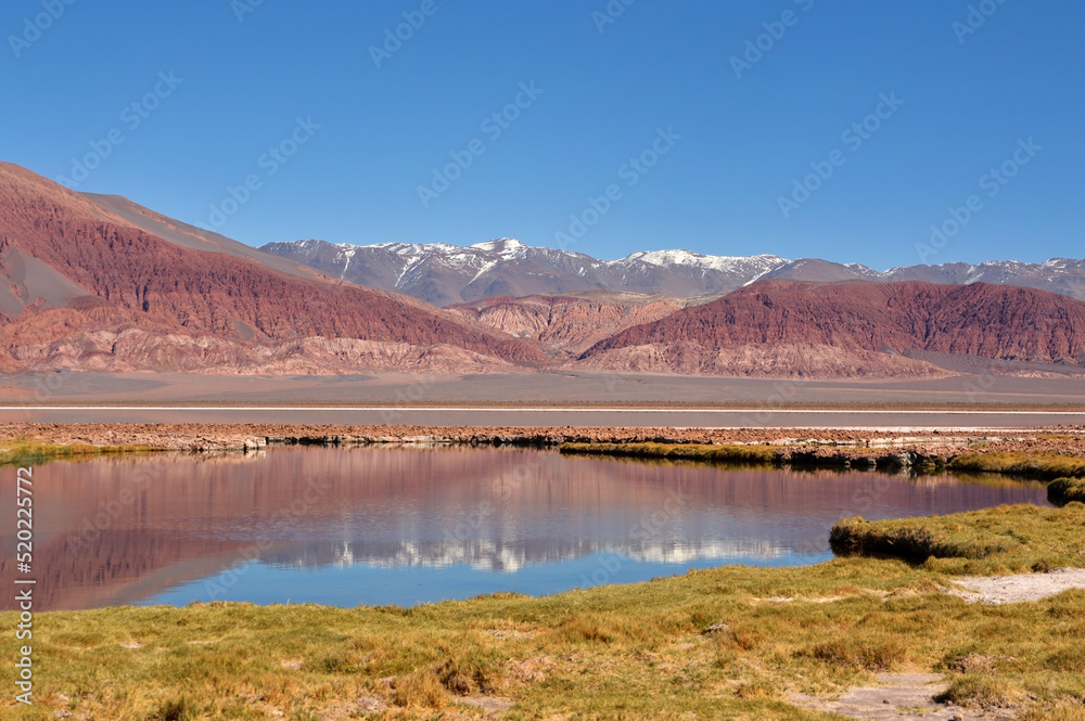 Laguna en Antofagasta de la Sierra, Catamarca, Argentina. Pueblo de Antofagasta de la Sierra.