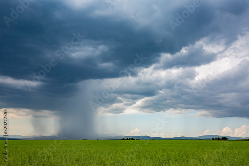 Fotografie Rainstorm and heavy rain pouring down from a dramatic cloudscape over green field