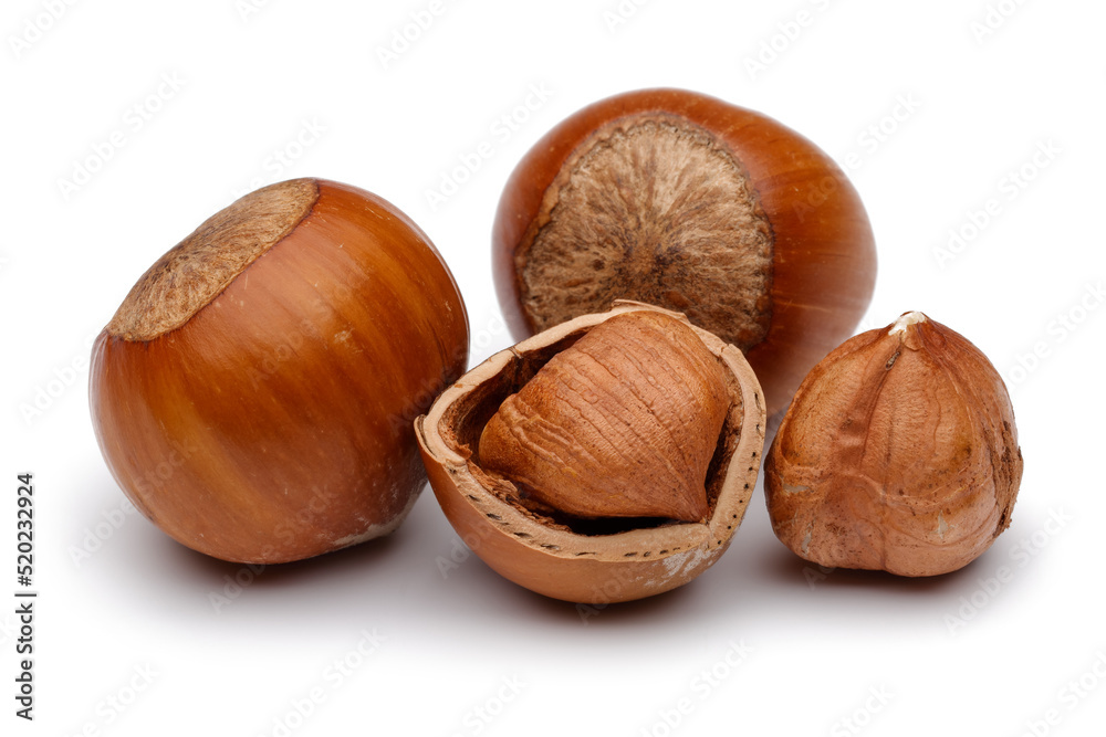 hazelnuts isolated on white background hazelnuts isolated on white background