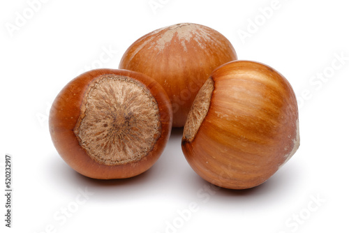 hazelnuts isolated on white background