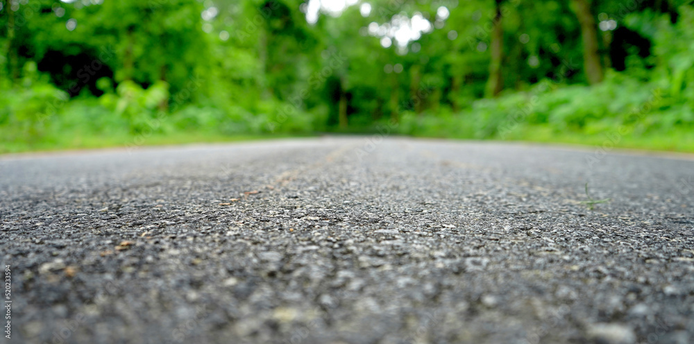 Black Pitch Road in Dense forest of Daringbadi Black Pitch Road in Dense forest of Daringbadi