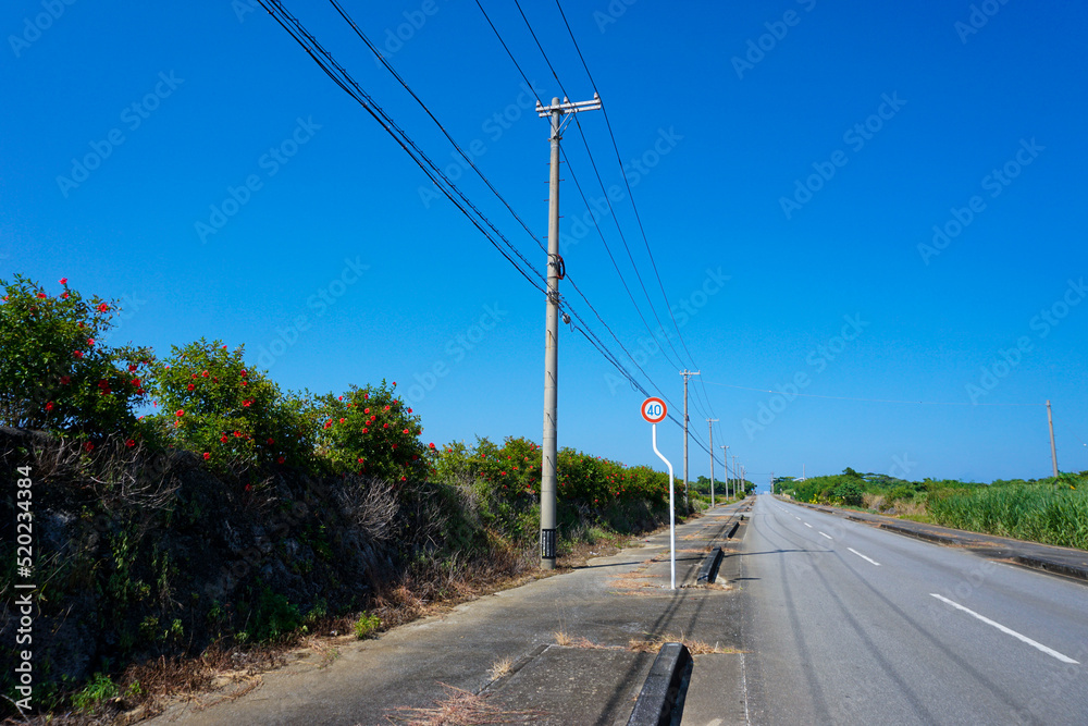 Fototapeta premium 宮古島