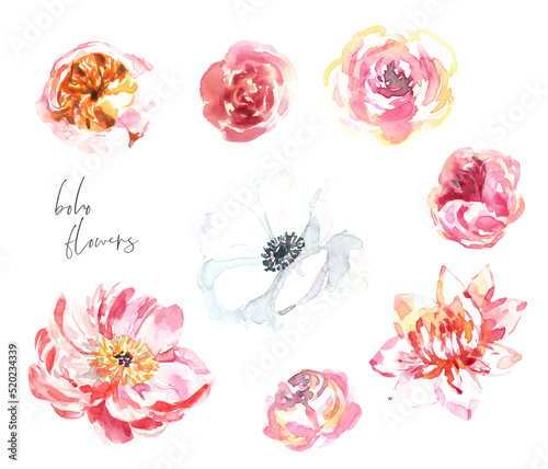 Watercolor floral single isolated illustration. Peony,anemone,pink,peach, rose,garden rose, ranunculus,english rose. Rustic,woodland forest, shabby chic, botanical diy element,create flower wreath