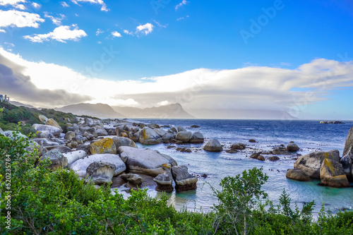 Rocky boulder's beach is a turqoise and sheltered beach and a famous tourist destination in cape town