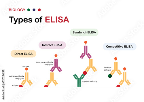 Molecular Biology diagram present type of the enzyme-linked immunosorbent assay or ELISA photo