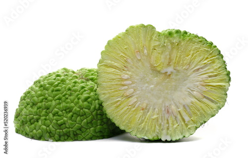 Osage orange half, Maclura pomifera isolated on white   photo