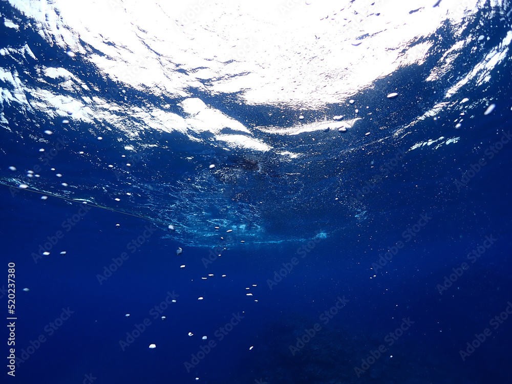 石垣島ダイビング・海底より海面を臨む