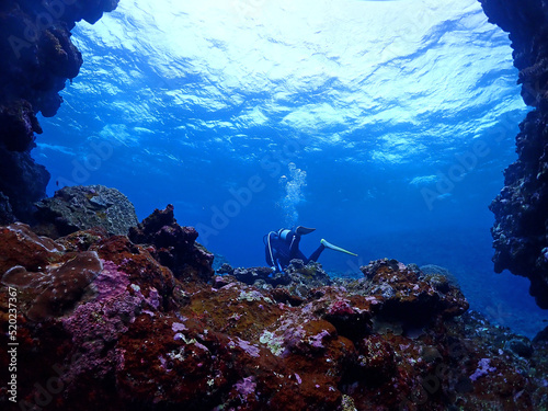 石垣島・川平湾沖海底をダイブする photo