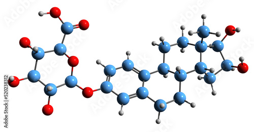  3D image of Estriol 3-glucuronide skeletal formula - molecular chemical structure of natural steroidal estrogen natural steroidal estrogen isolated on white background
 photo