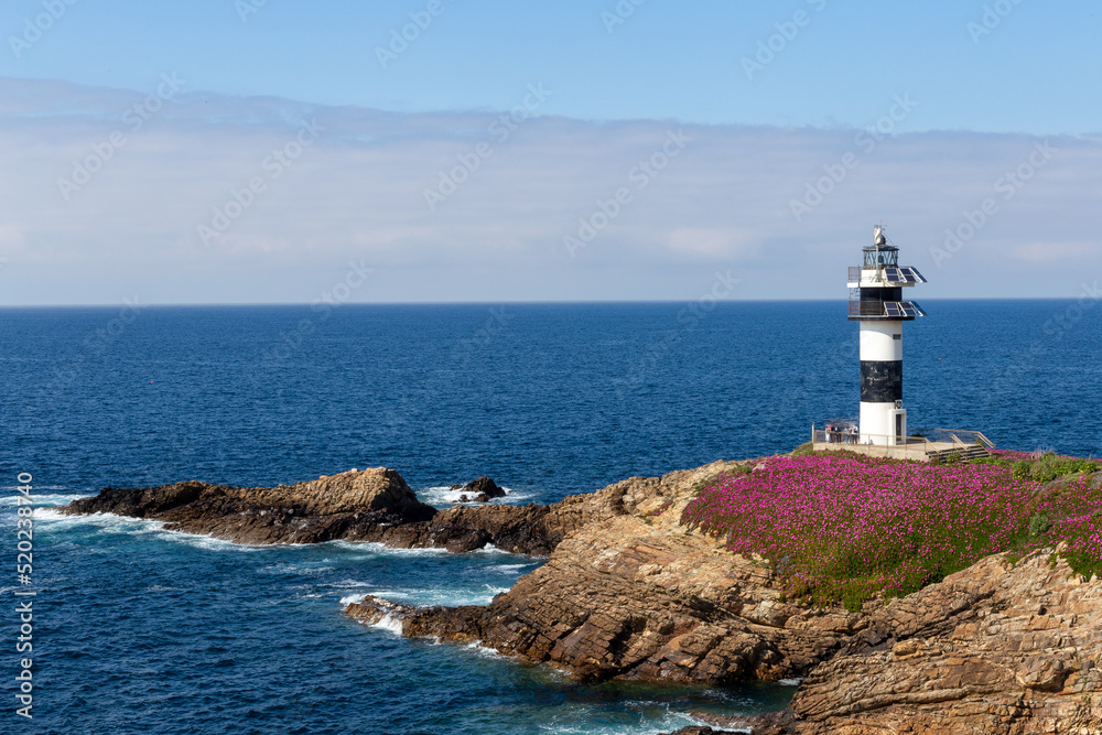 lighthouse surrounded by beautiful flowers