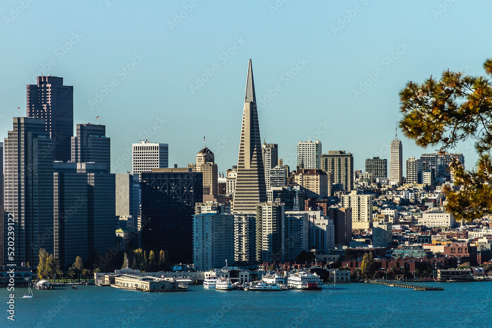 Obraz premium The City of San Francisco California 