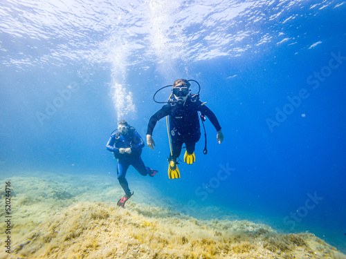 scuba diver and divers