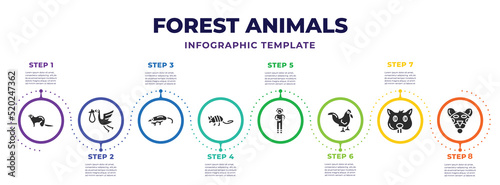 Fotografiet forest animals infographic design template with weasel, stork, desman, armadillo, scratching, rooster, groundhog, snow leopard icons