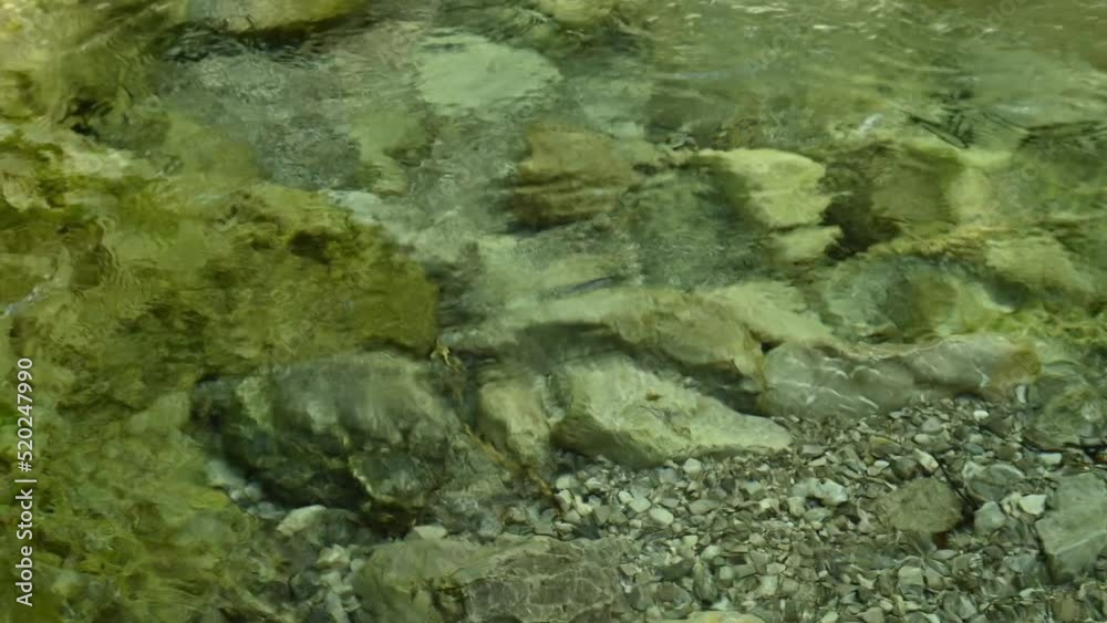 Frisches klares Wasser sprudelt über Steine eines sehr schönen Bergbachs (mit Wassersounds) Frisches klares Wasser sprudelt über Steine eines sehr schönen Bergbachs (mit Wassersounds)