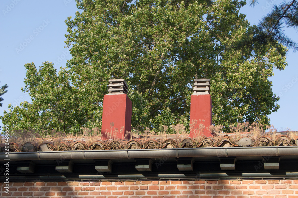 tiled roof with two identical red chimneys and a tree behind tiled roof with two identical red chimneys and a tree behind