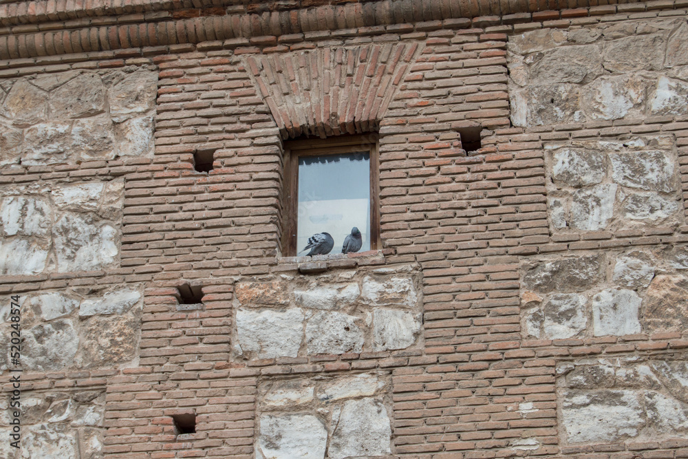 brick and stone facade with a window and two pigeons brick and stone facade with a window and two pigeons