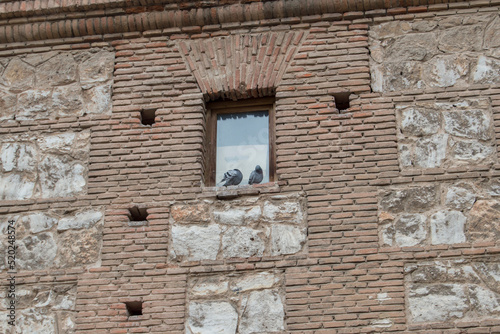 brick and stone facade with a window and two pigeons
