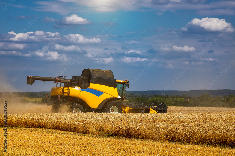 Obraz premium Combine harvester harvesting ripe wheat. Harvesting in Ukraine during the war and the world crisis for grain.