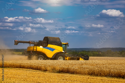 Combine harvester harvesting ripe wheat. Harvesting in Ukraine during the war and the world crisis for grain.