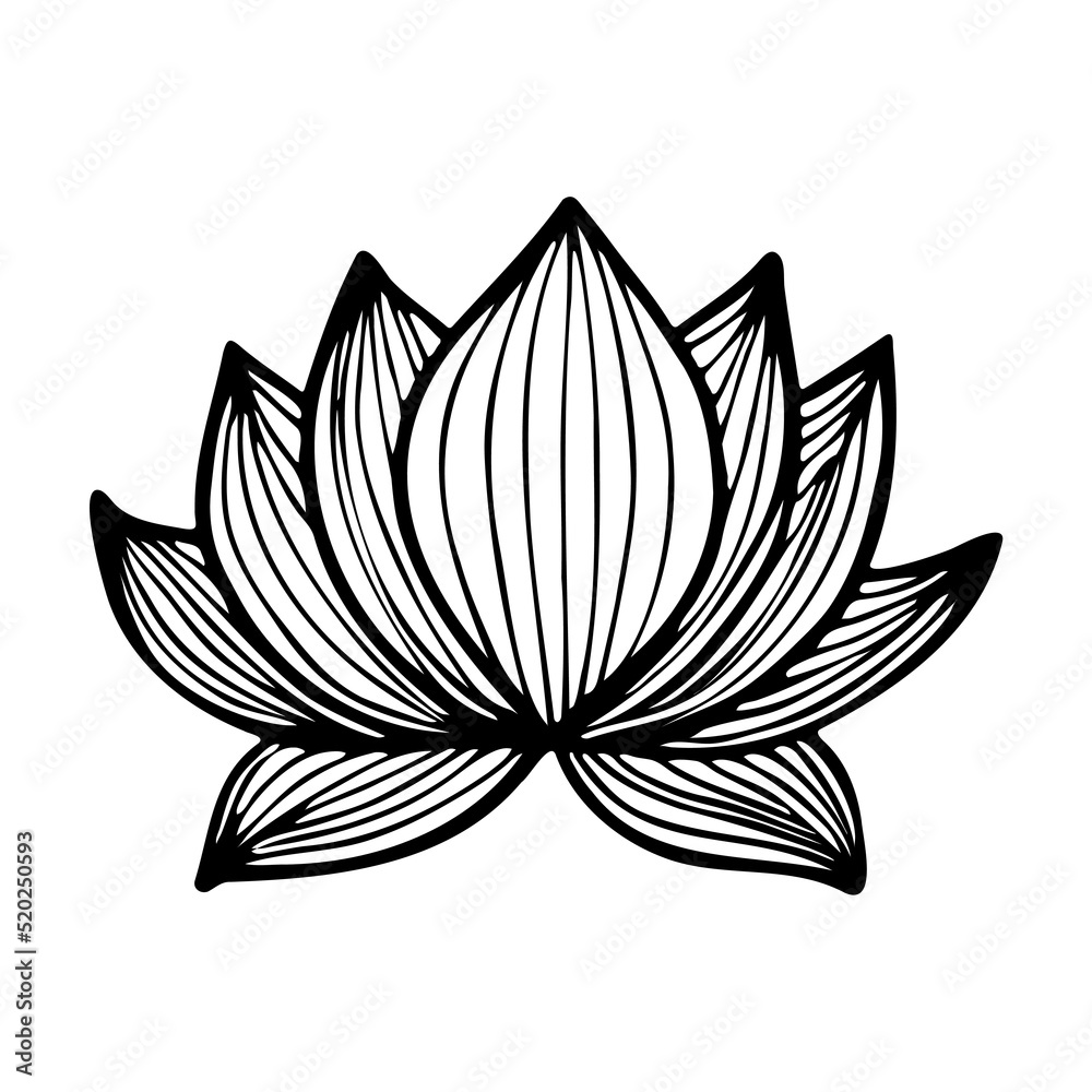 Lotus flower in black and white doodle style as icon for tattoo