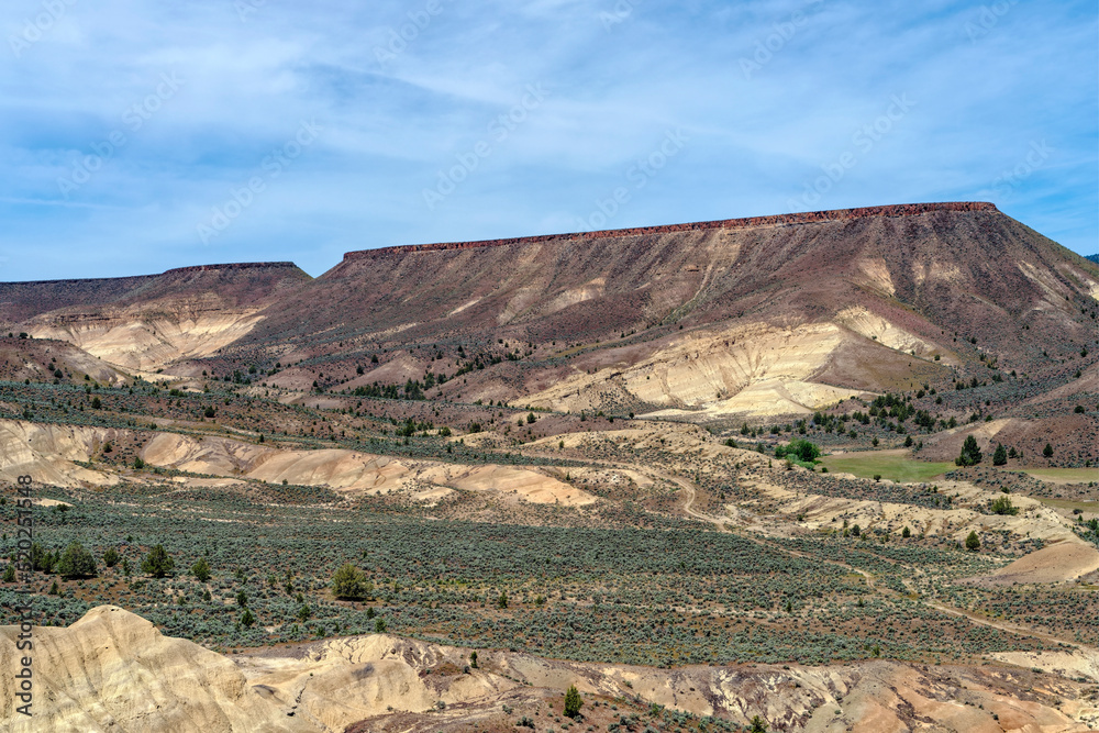 Flat ridges rise above the basin at the Mascall Formation in the John Day Fossil Beds National Monument, Oregon, USA