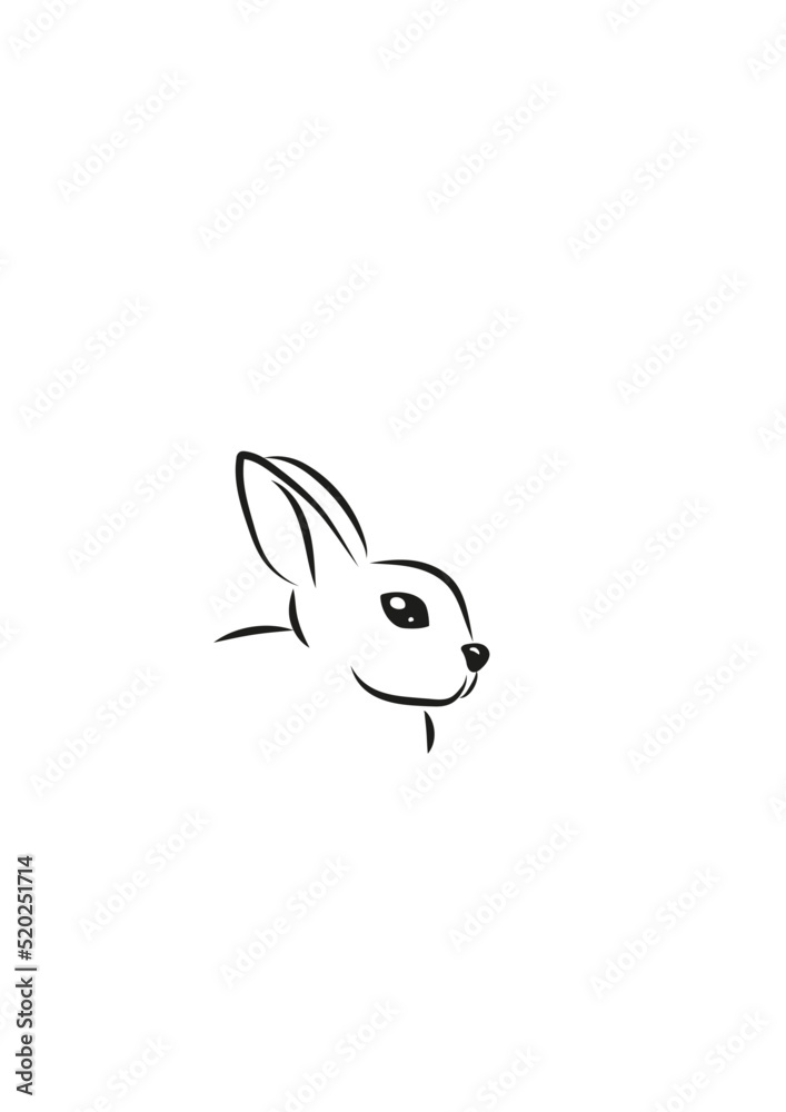 Rabbit - obrazy, fototapety, plakaty 