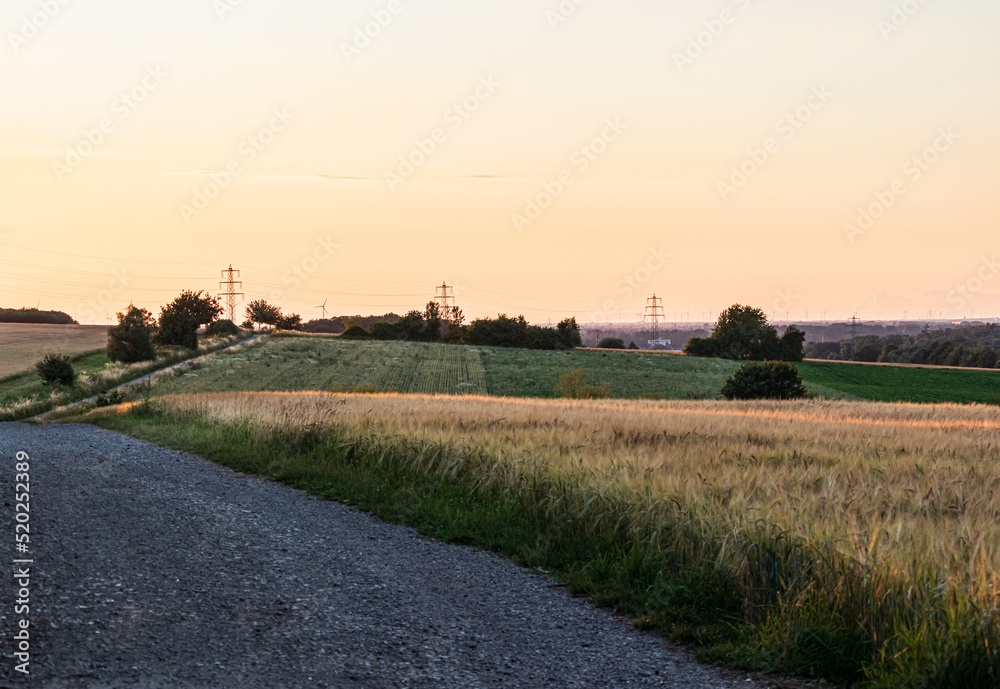 Fototapeta premium Grain field in the sunset near the city of Düren