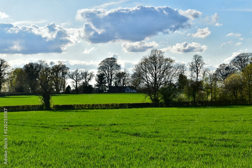 Landscape with green field and blue sky with clouds, West Midlands, England, UK