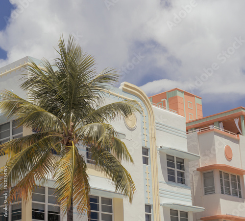 trees in front of a building palms tropical miami 