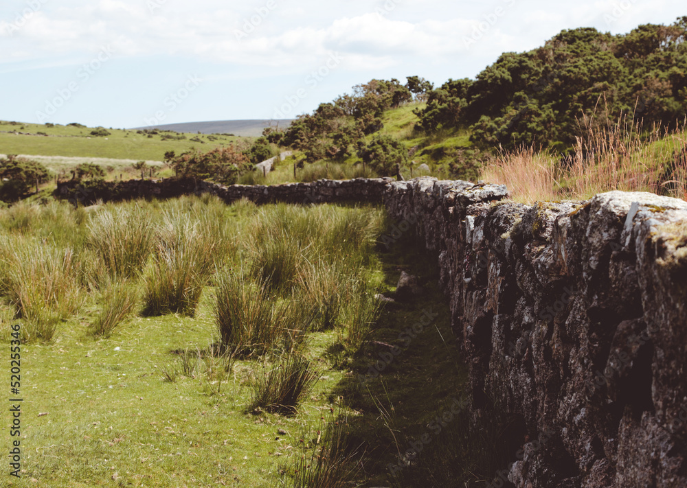 Fototapeta premium Steinmauer im Dartmoor